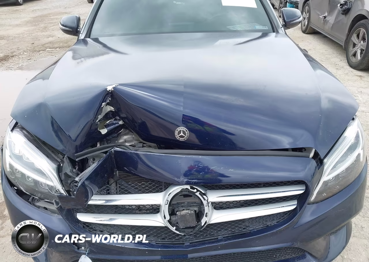 2019 Mercedes-Benz C 300 4Matic VIN:55SWF8EB4KU290828 - 12