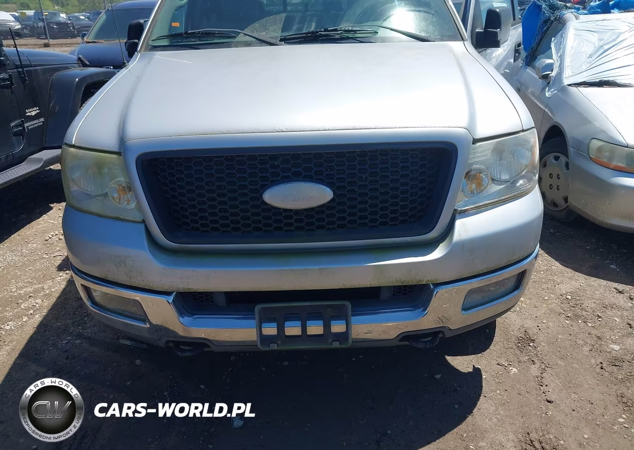 2004 Ford F-150 Fx4-Lariat-Xl-Xlt VIN:1FTPX14504NA63100 - 6