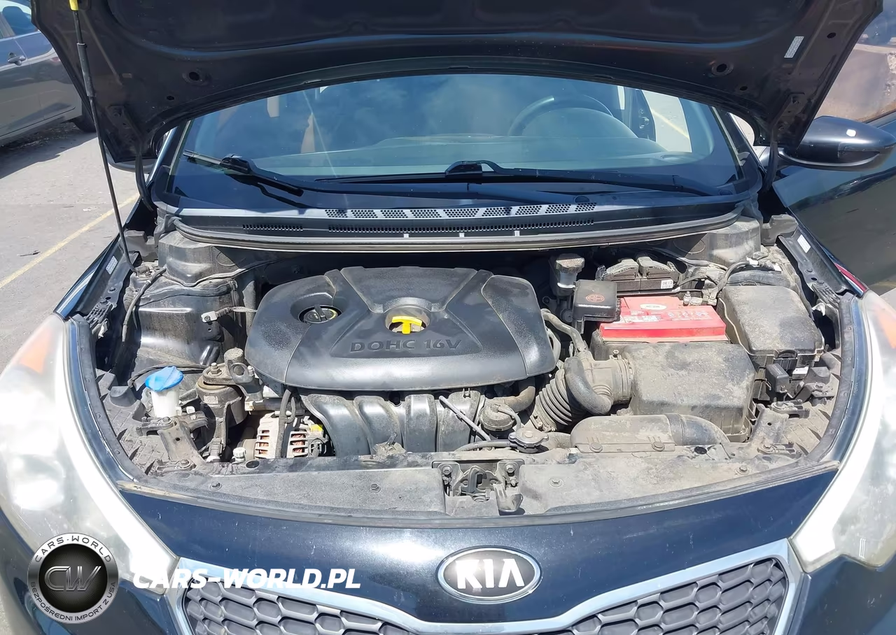 2014 Kia Forte Lx VIN:KNAFK4A62E5146826 - 10
