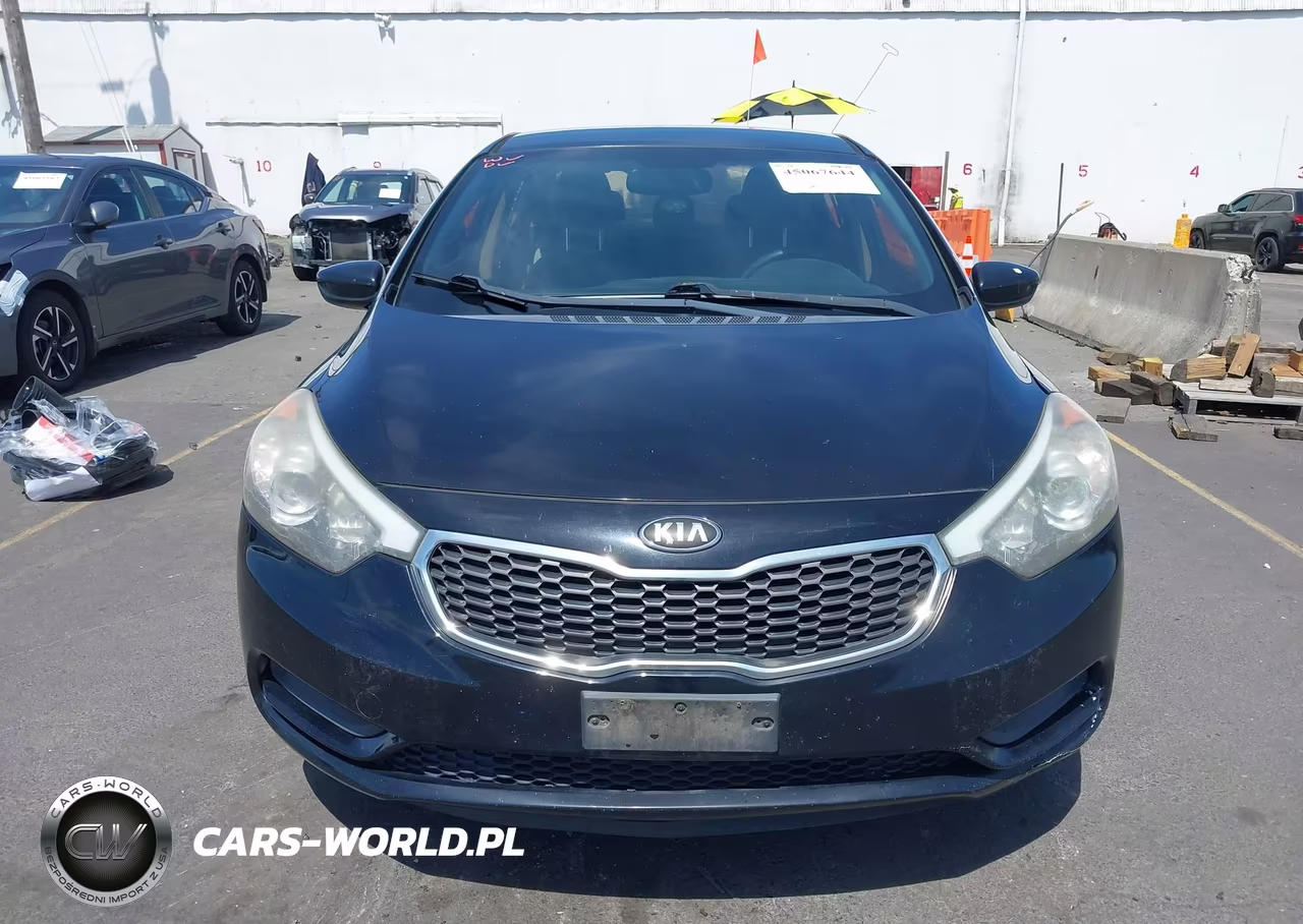 2014 Kia Forte Lx VIN:KNAFK4A62E5146826 - 12