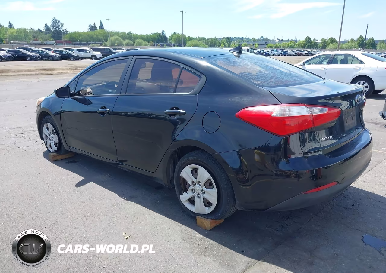 2014 Kia Forte Lx VIN:KNAFK4A62E5146826 - 3