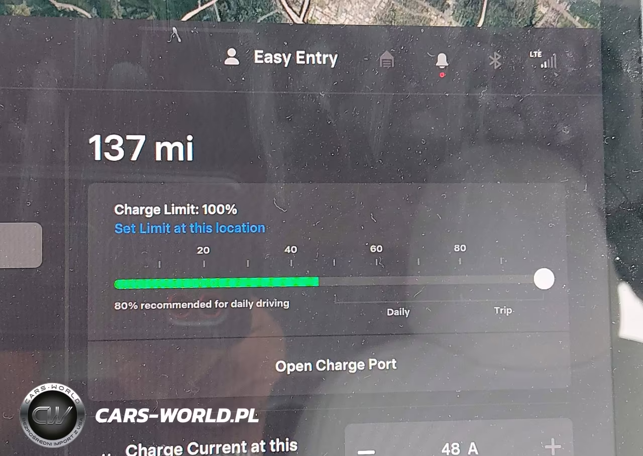 2021 Tesla Model 3 Performance Dual Motor All-Wheel Drive VIN:5YJ3E1EC8MF061160 - 16