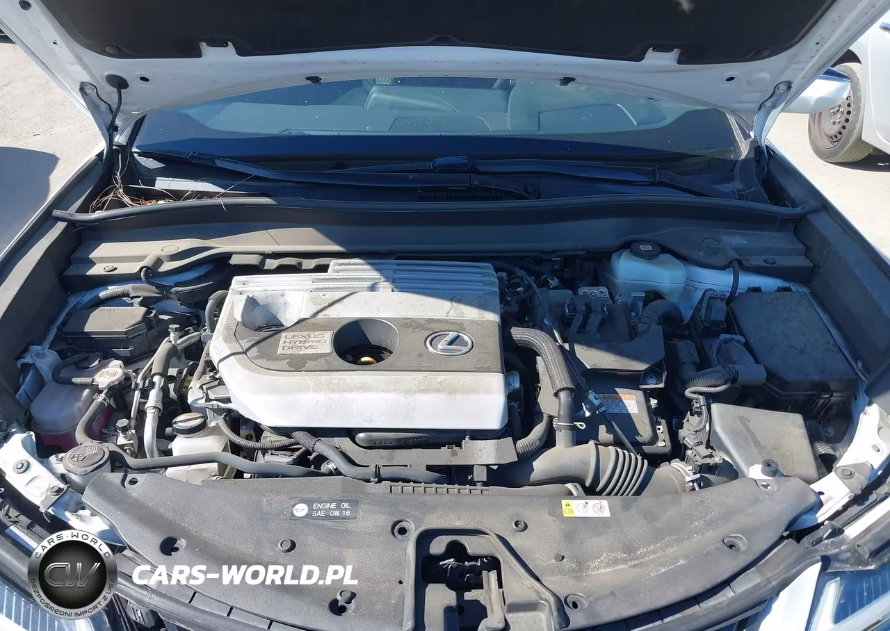 2020 Lexus Ux 250H VIN:JTHX9JBH8L2036121 - 10