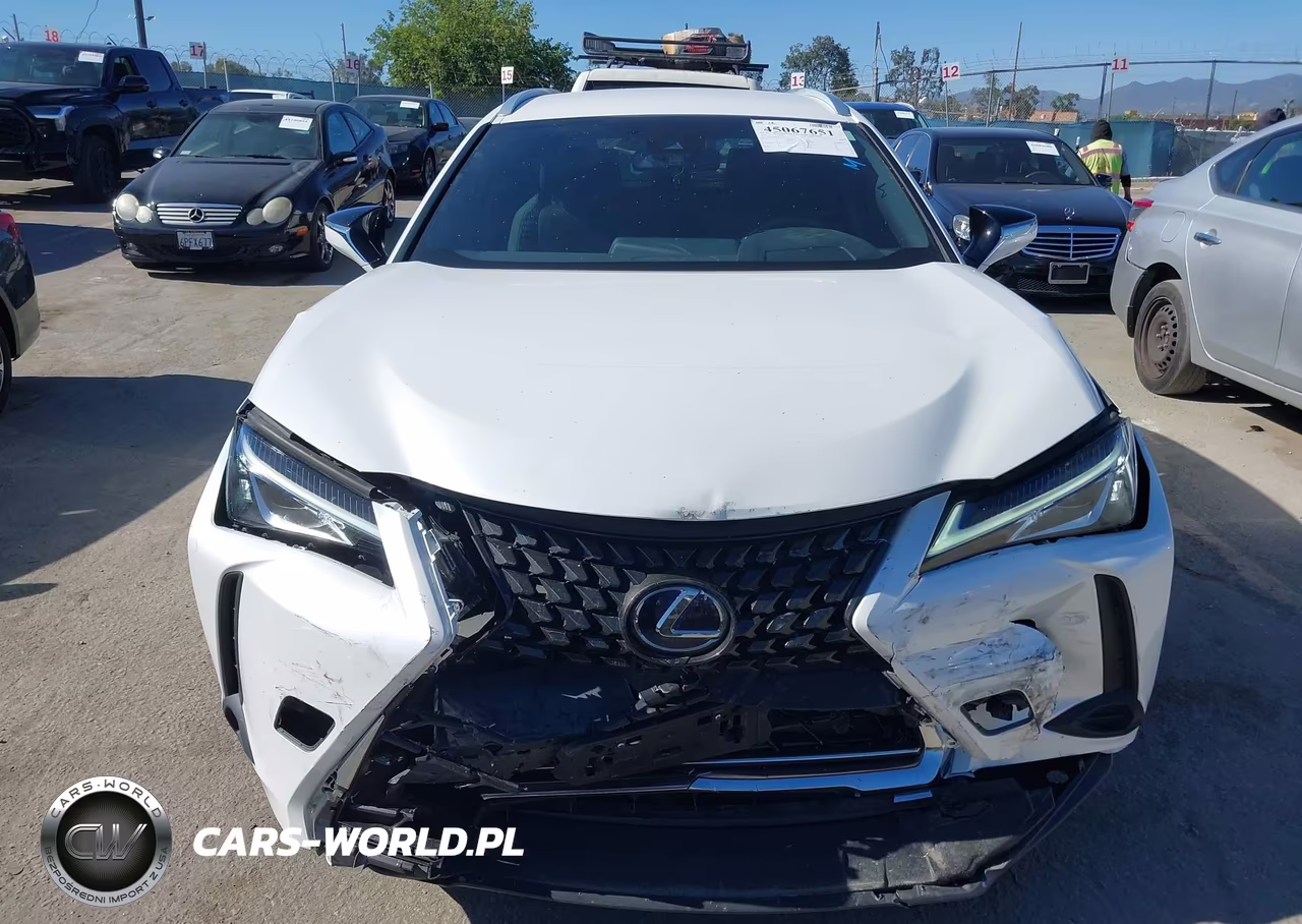 2020 Lexus Ux 250H VIN:JTHX9JBH8L2036121 - 12