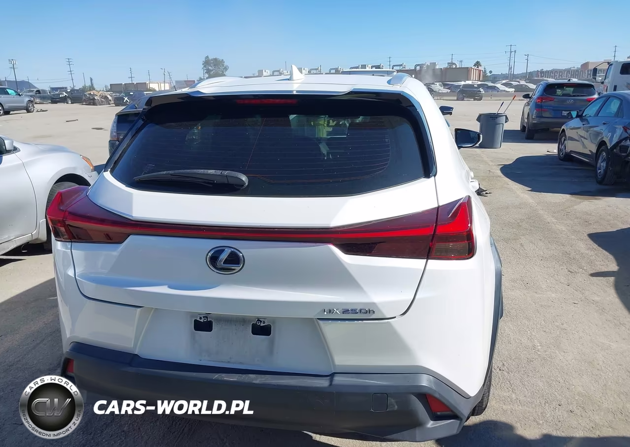2020 Lexus Ux 250H VIN:JTHX9JBH8L2036121 - 16