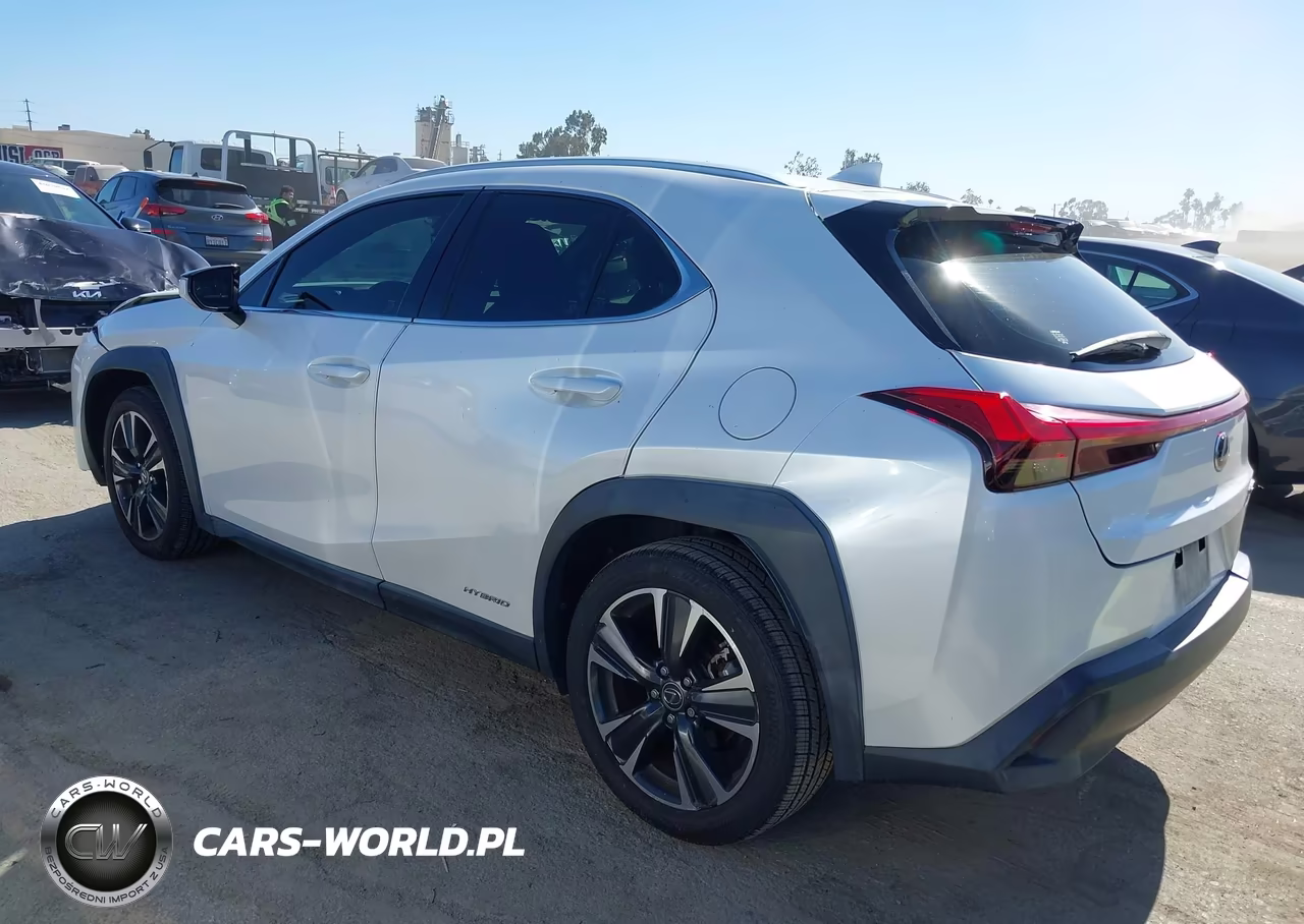 2020 Lexus Ux 250H VIN:JTHX9JBH8L2036121 - 3
