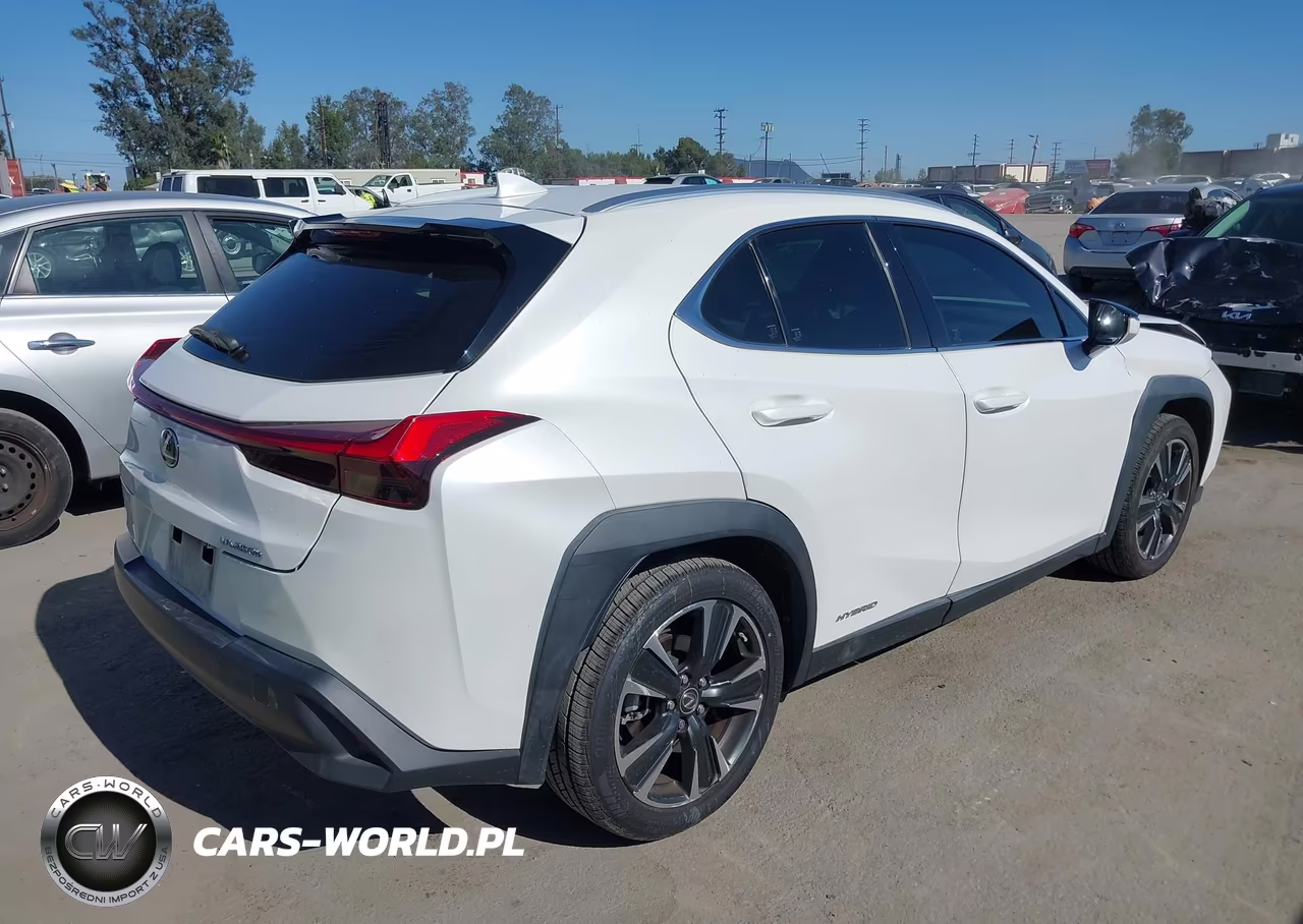 2020 Lexus Ux 250H VIN:JTHX9JBH8L2036121 - 4