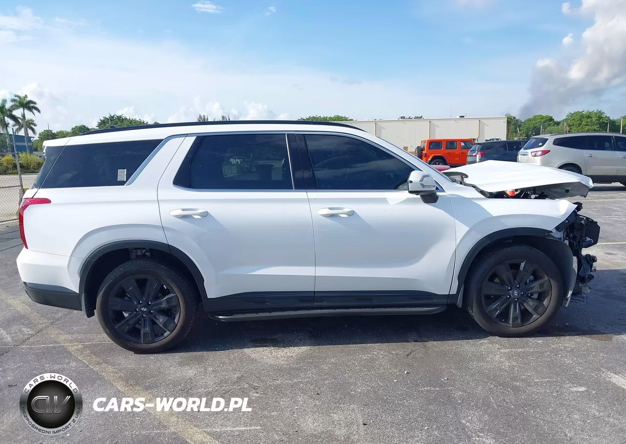 2025 Hyundai Palisade Xrt VIN:KM8R34GEXSU942670 - 13