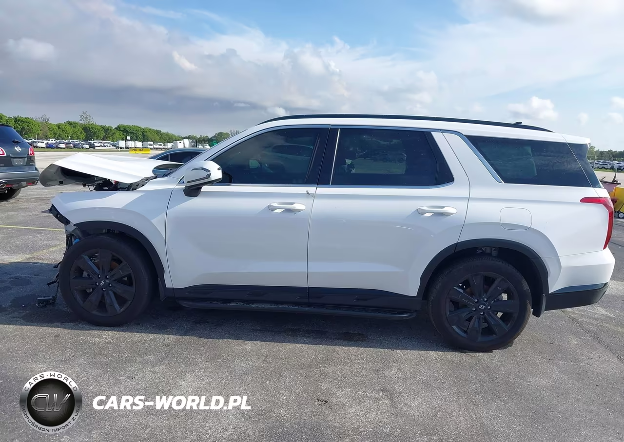 2025 Hyundai Palisade Xrt VIN:KM8R34GEXSU942670 - 14