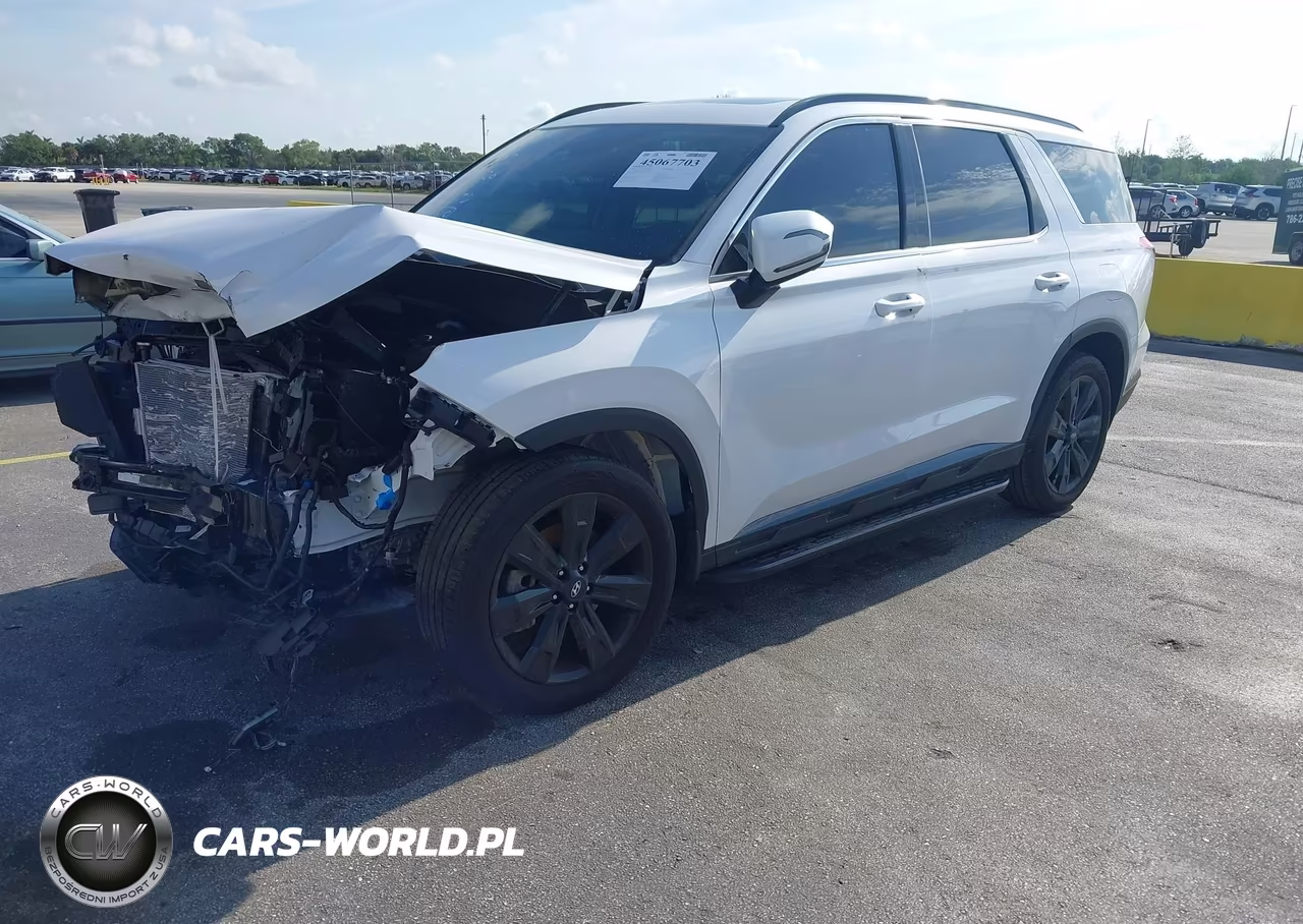 2025 Hyundai Palisade Xrt VIN:KM8R34GEXSU942670 - 2