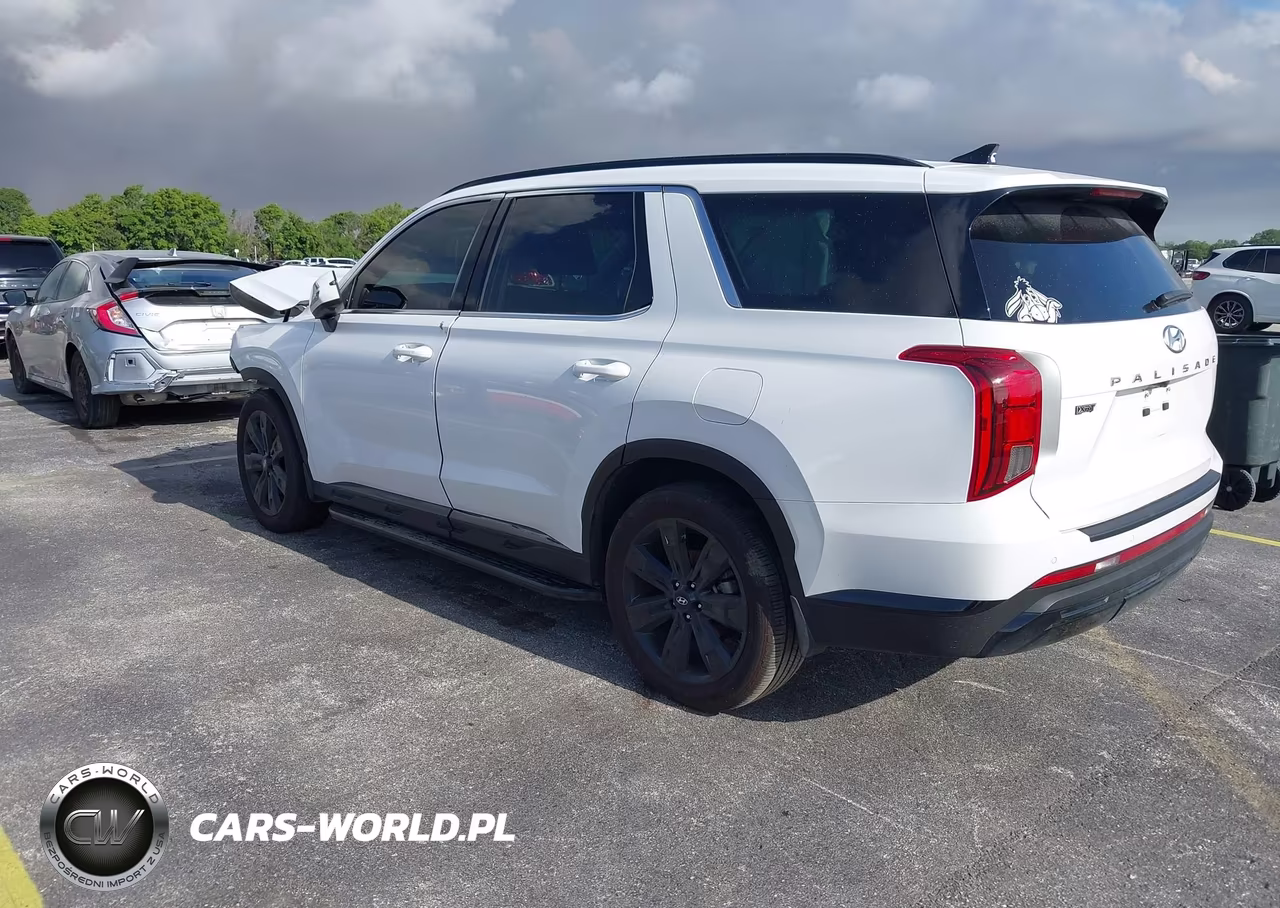 2025 Hyundai Palisade Xrt VIN:KM8R34GEXSU942670 - 3
