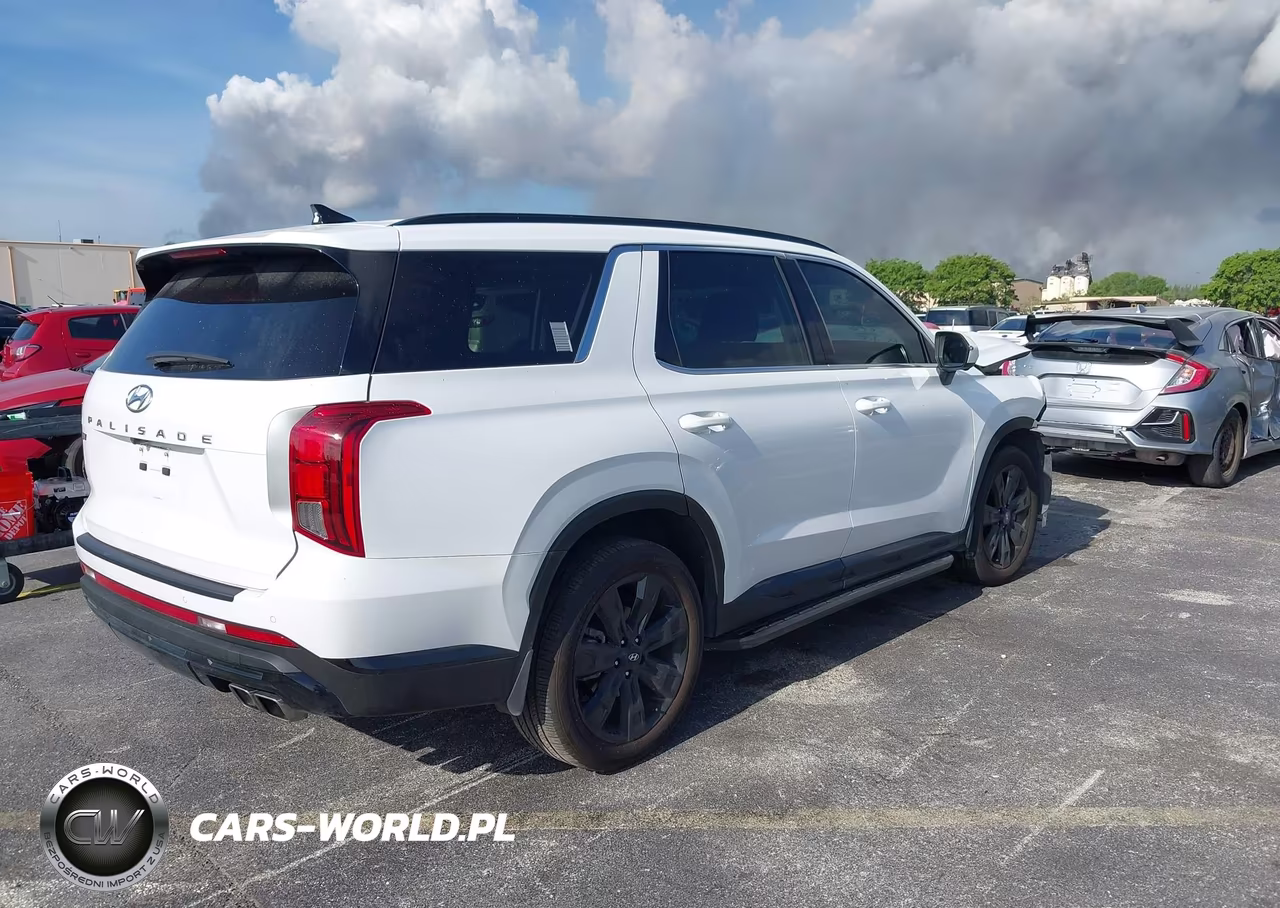 2025 Hyundai Palisade Xrt VIN:KM8R34GEXSU942670 - 4