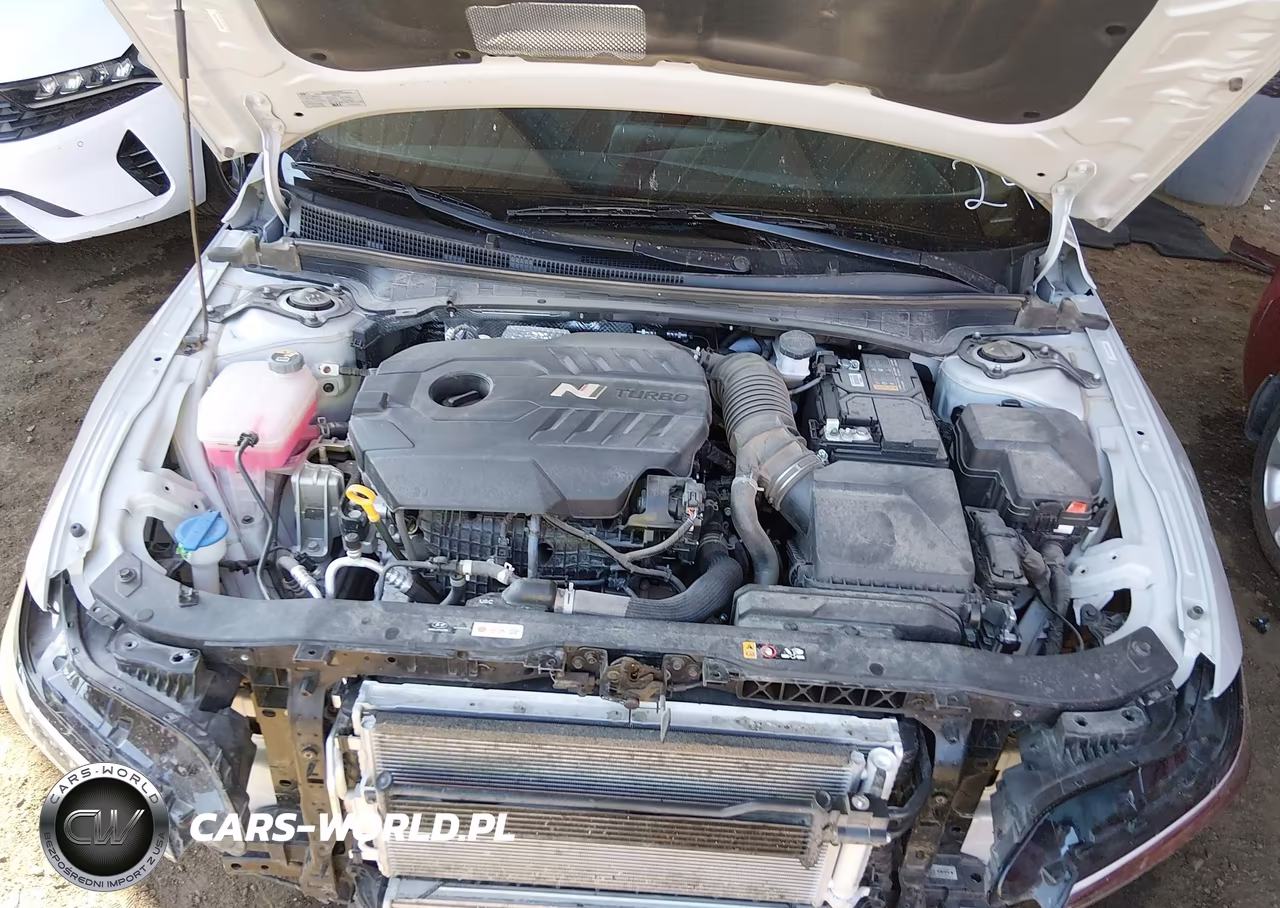2025 Hyundai Elantra N VIN:KMHLW4DK0SU030556 - 10