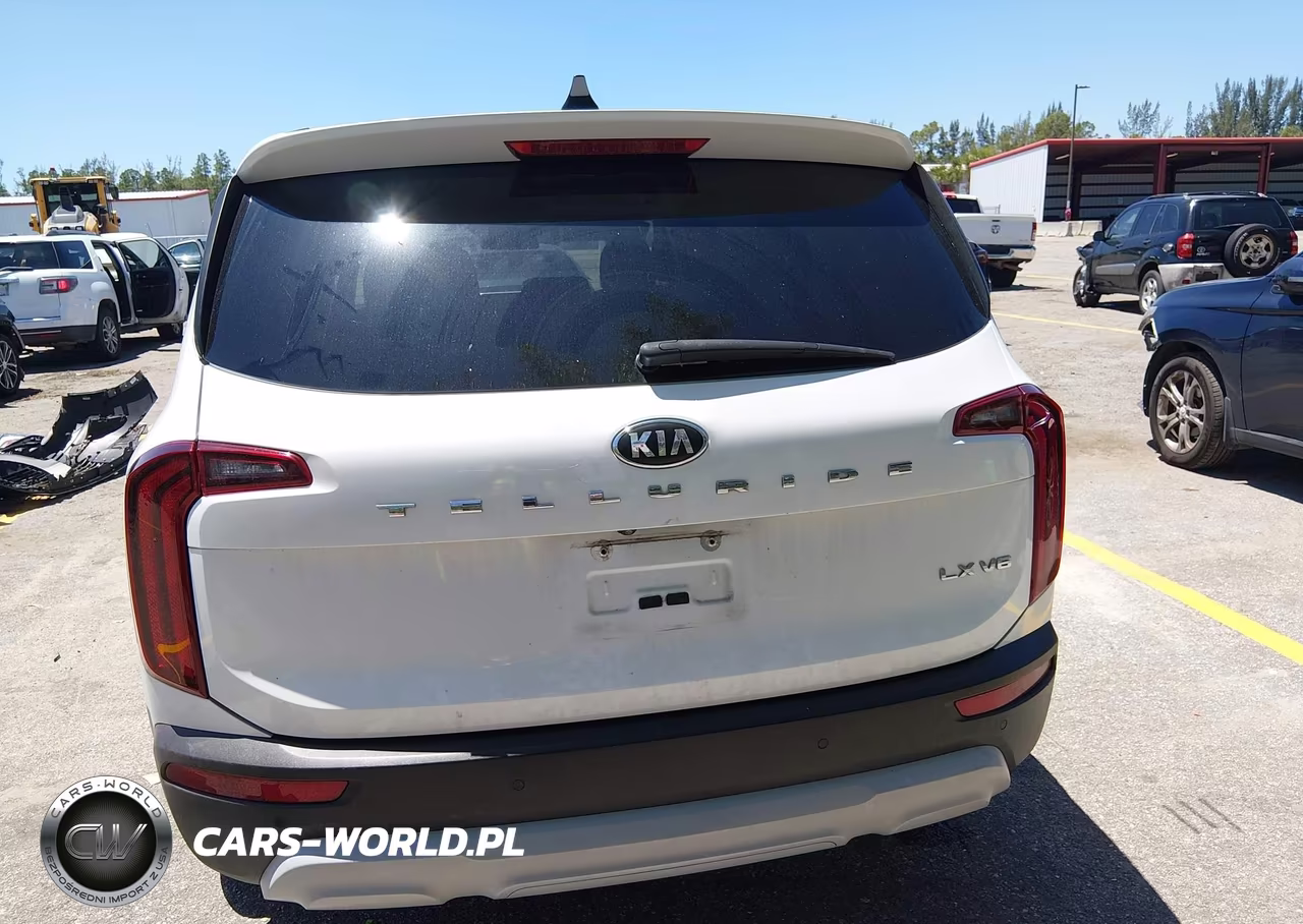 2020 Kia Telluride Lx VIN:5XYP24HC5LG017759 - 16