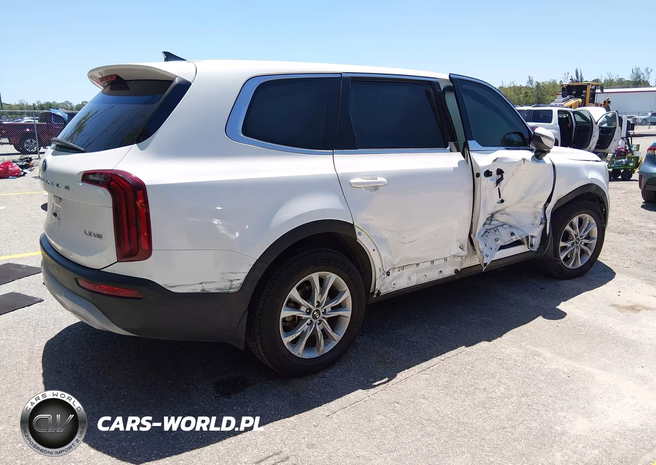 2020 Kia Telluride Lx VIN:5XYP24HC5LG017759 - 4