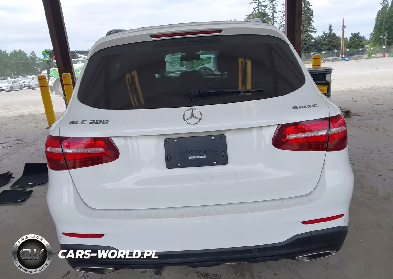 2019 Mercedes-Benz Glc 300 4Matic VIN:WDC0G4KB4KV141459 - 16