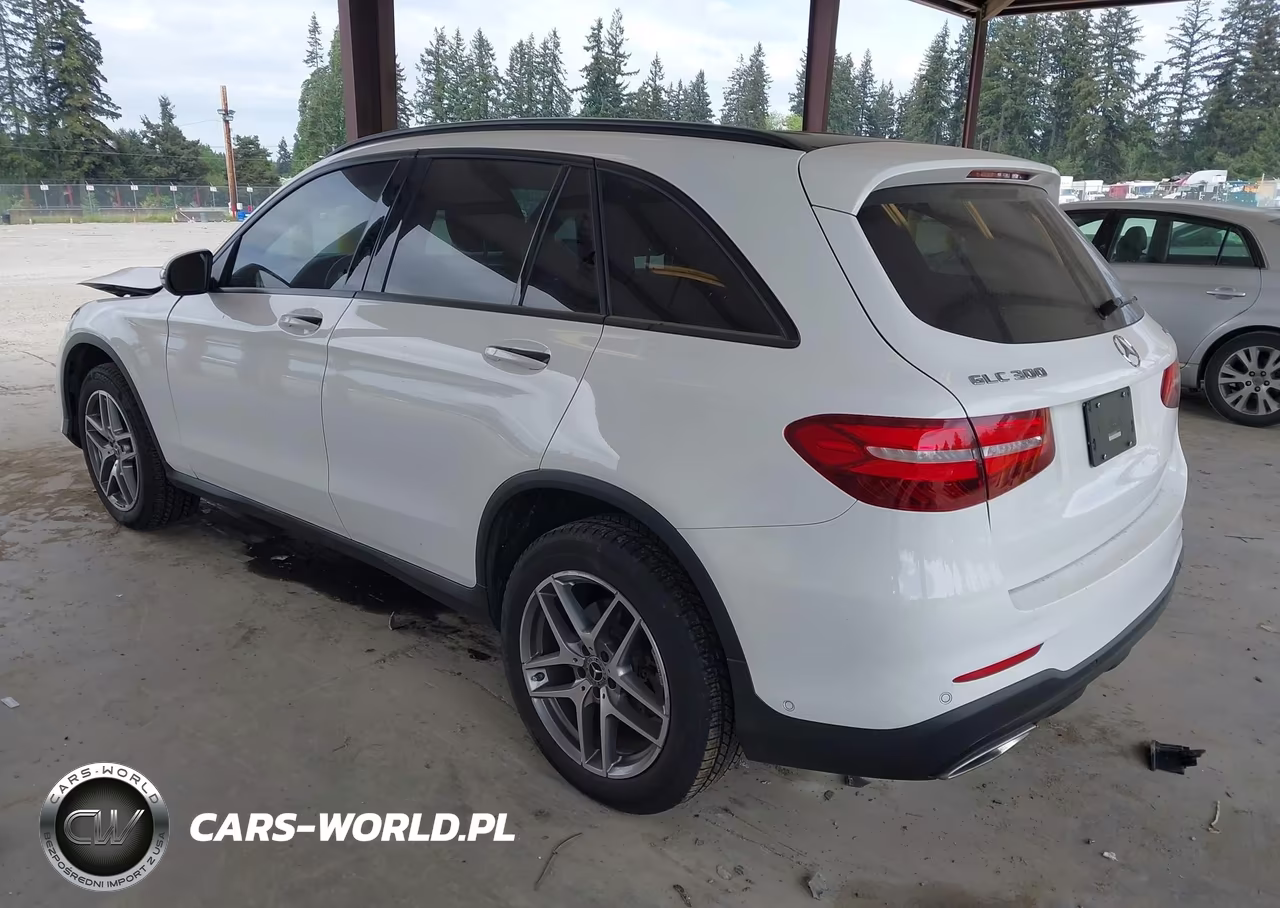 2019 Mercedes-Benz Glc 300 4Matic VIN:WDC0G4KB4KV141459 - 3
