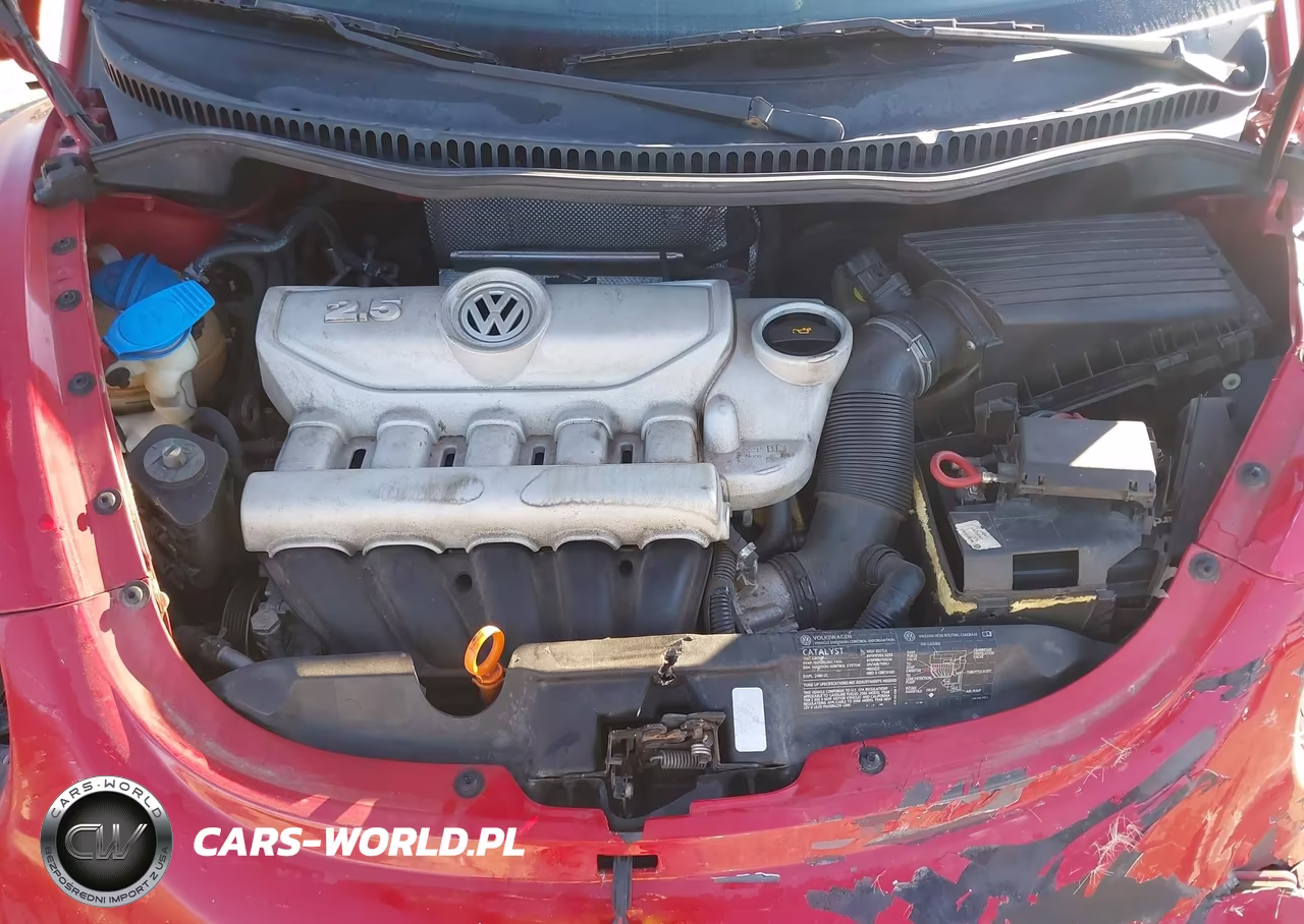 2006 Volkswagen New Beetle 2.5-2.5 (A6) VIN:3VWRW31C66M417030 - 10