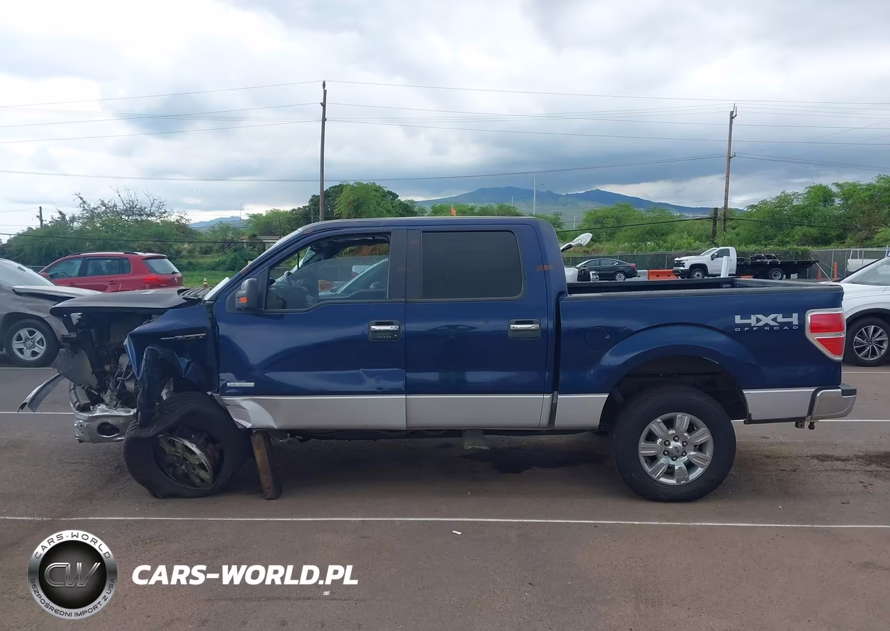 2011 Ford F-150 Xlt VIN:1FTFW1ET8BFB17519 - 15