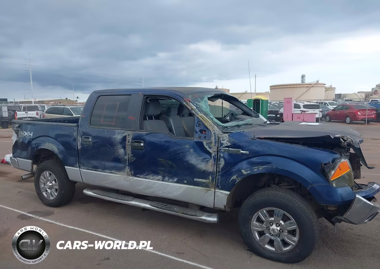 2011 Ford F-150 Xlt VIN:1FTFW1ET8BFB17519 - 18