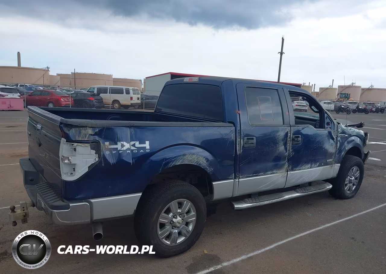 2011 Ford F-150 Xlt VIN:1FTFW1ET8BFB17519 - 19