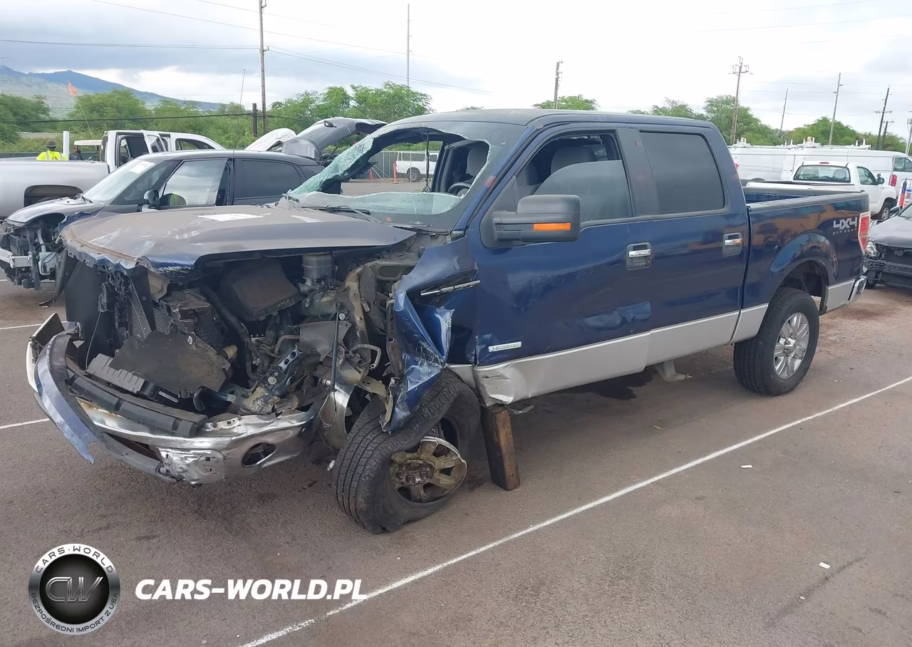 2011 Ford F-150 Xlt VIN:1FTFW1ET8BFB17519 - 2