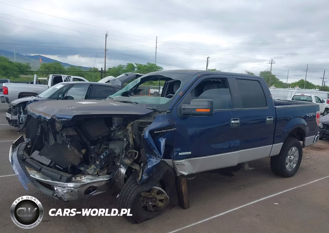 2011 Ford F-150 Xlt VIN:1FTFW1ET8BFB17519 - 21