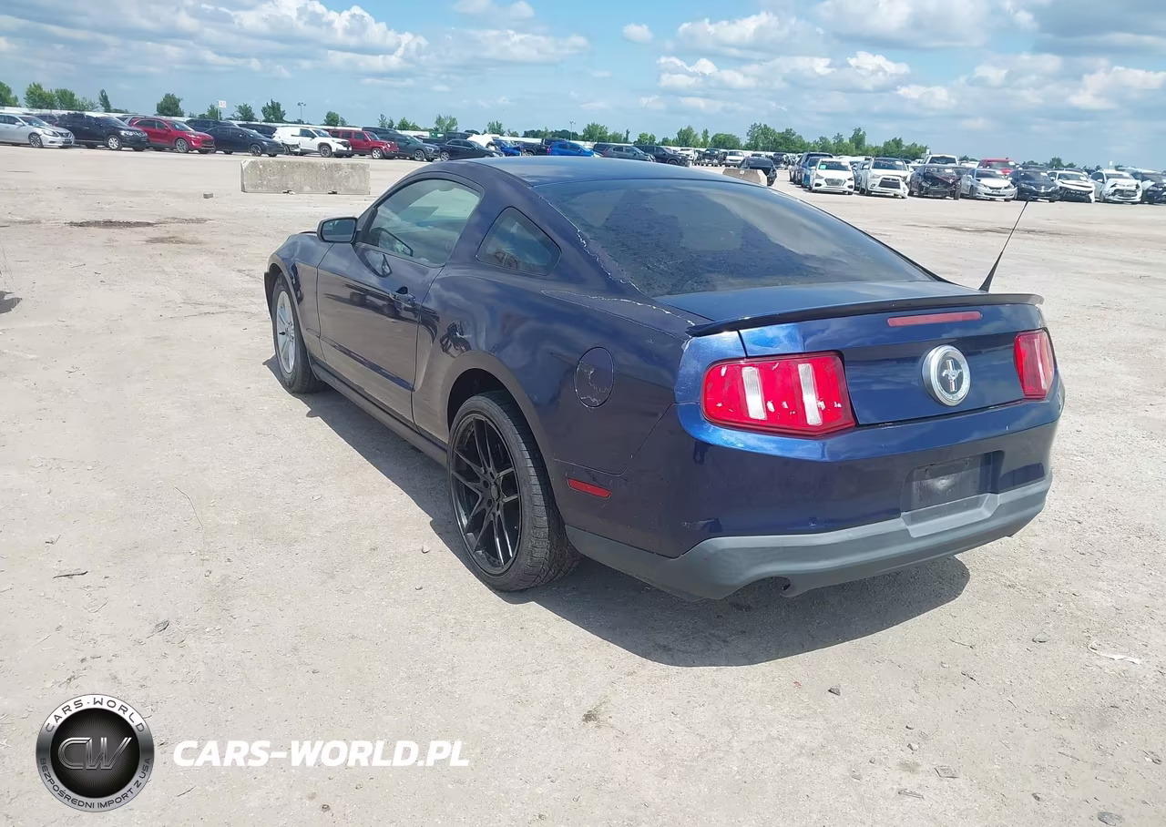 2012 Ford Mustang V6 VIN:1ZVBP8AM8C5215800 - 3