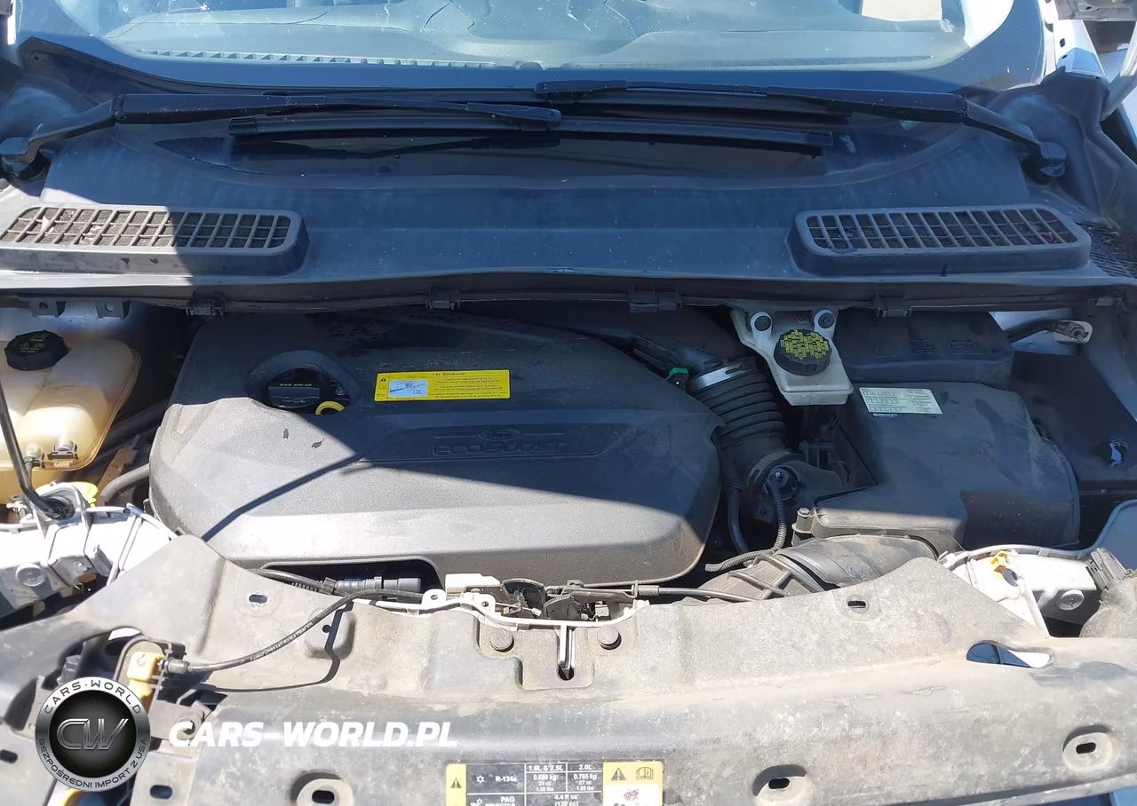 2016 Ford Escape Se VIN:1FMCU9GX4GUA85741 - 10