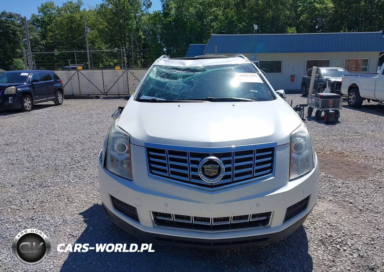 2013 Cadillac Srx Luxury Collection VIN:3GYFNCE32DS591568 - 12