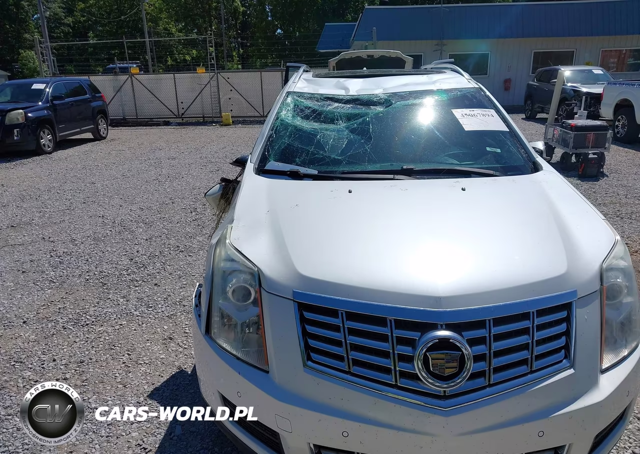 2013 Cadillac Srx Luxury Collection VIN:3GYFNCE32DS591568 - 6