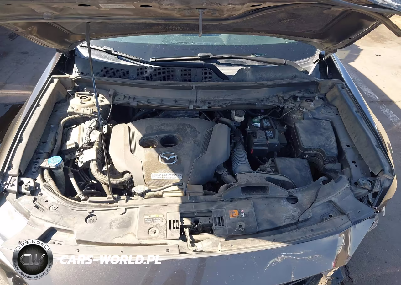 2016 Mazda Cx-9 Sport VIN:JM3TCBBY1G0108440 - 10