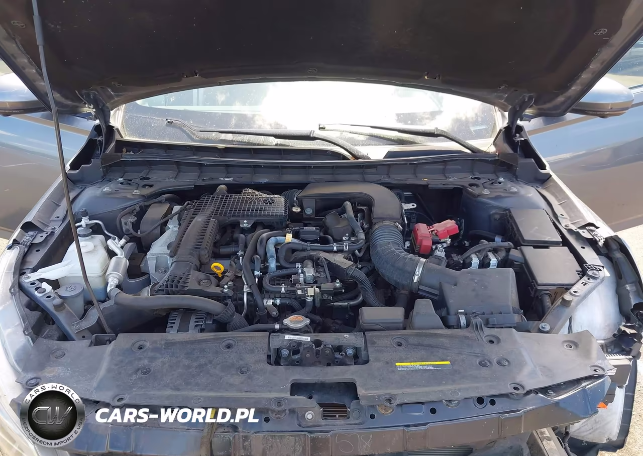 2020 Nissan Altima Platinum Vc-Turbo Fwd VIN:1N4AL4FV5LC142942 - 10