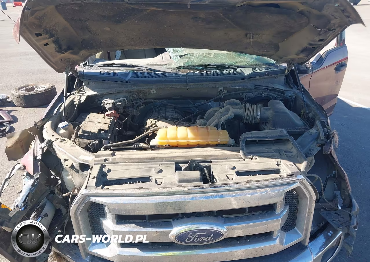2017 Ford F-150 Xlt VIN:1FTEW1E82HKE25681 - 10