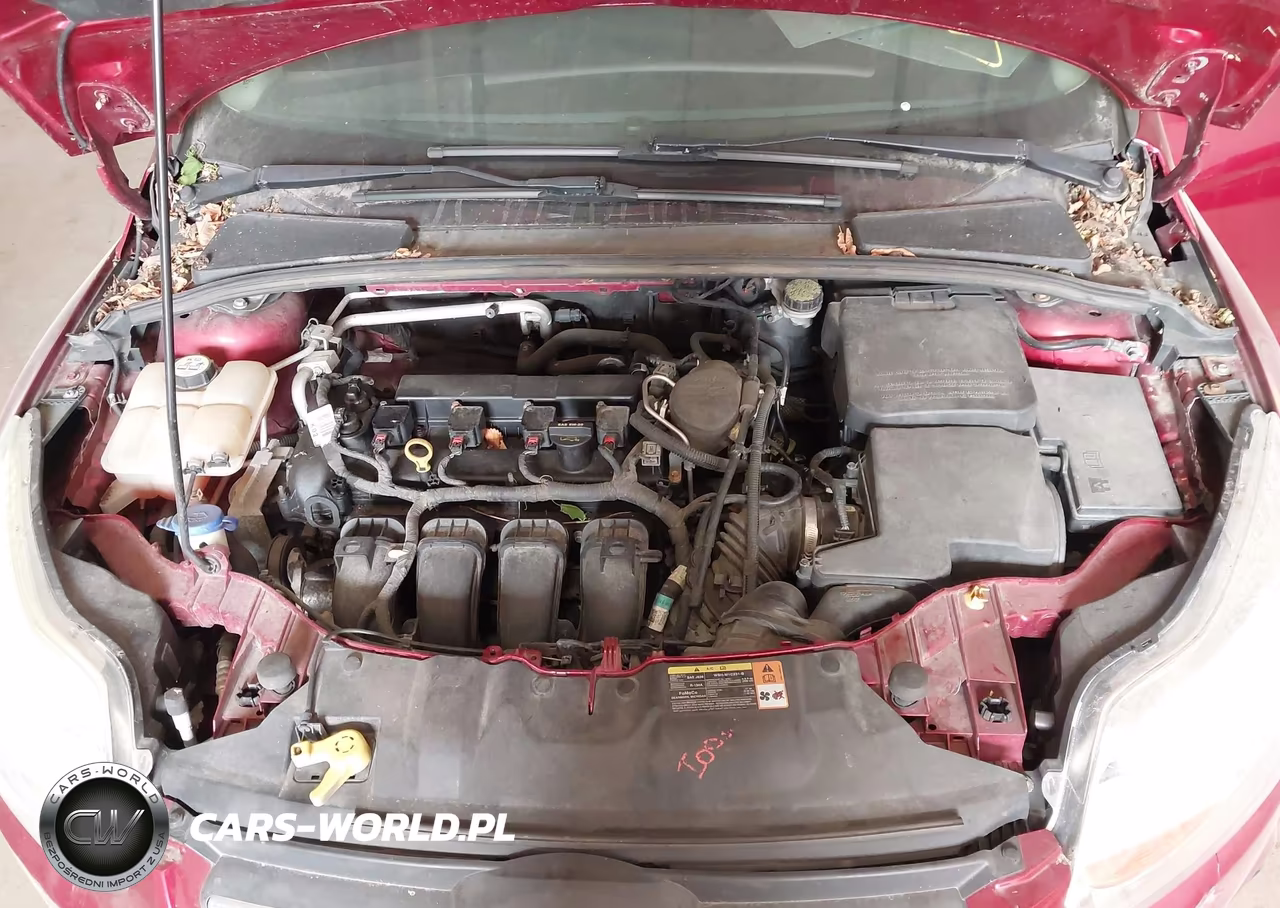 2013 Ford Focus Se VIN:1FADP3F26DL189920 - 10