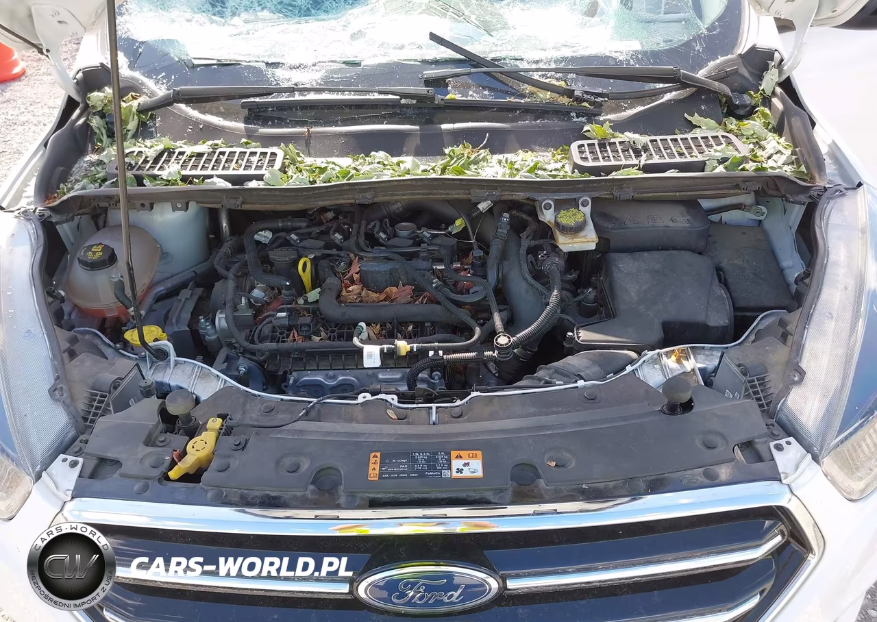 2019 Ford Escape Se VIN:1FMCU0GD0KUC53465 - 10