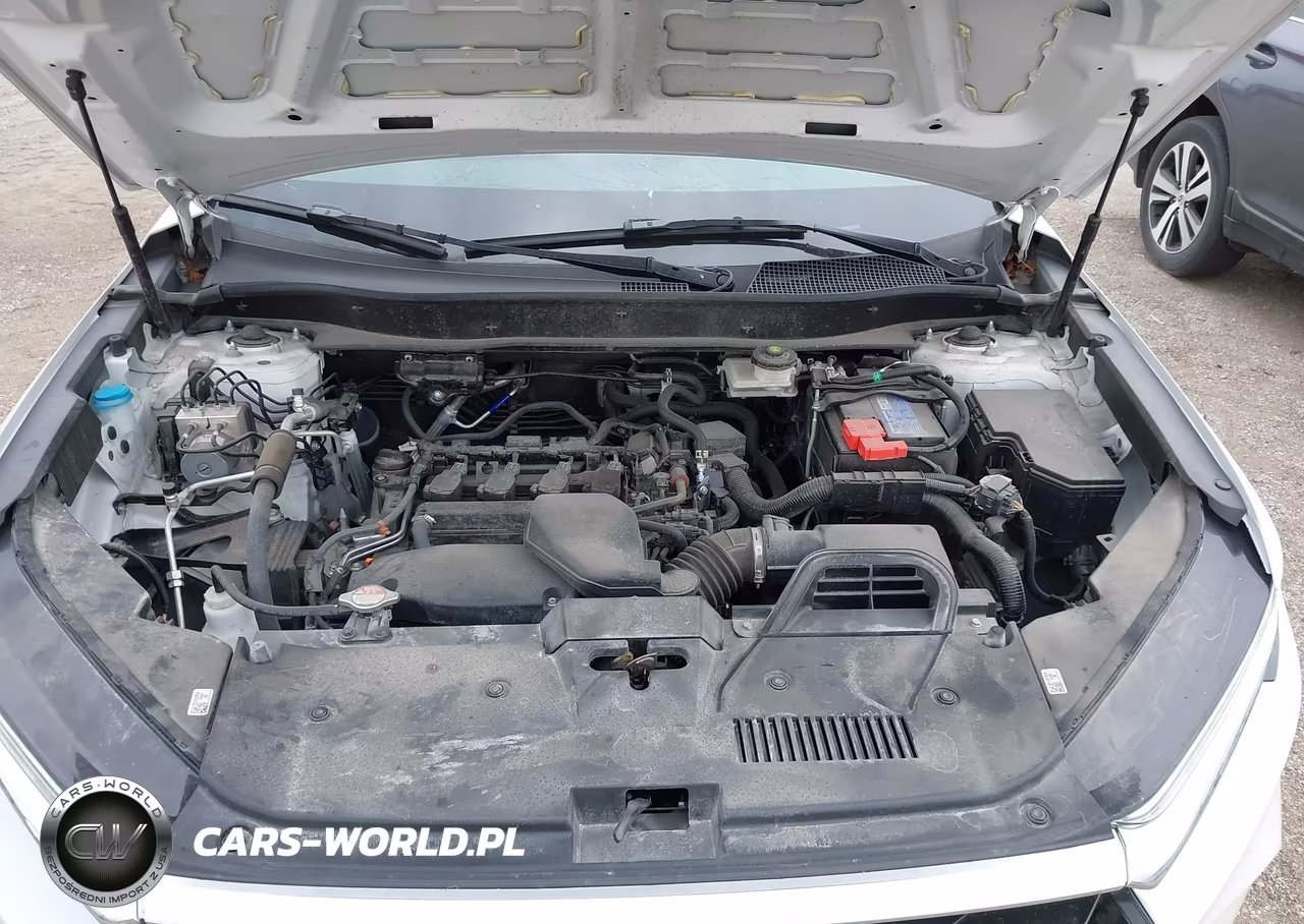 2024 Honda Cr-V Ex Awd VIN:5J6RS4H41RL000482 - 10