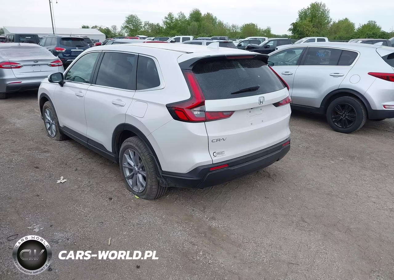 2024 Honda Cr-V Ex Awd VIN:5J6RS4H41RL000482 - 3
