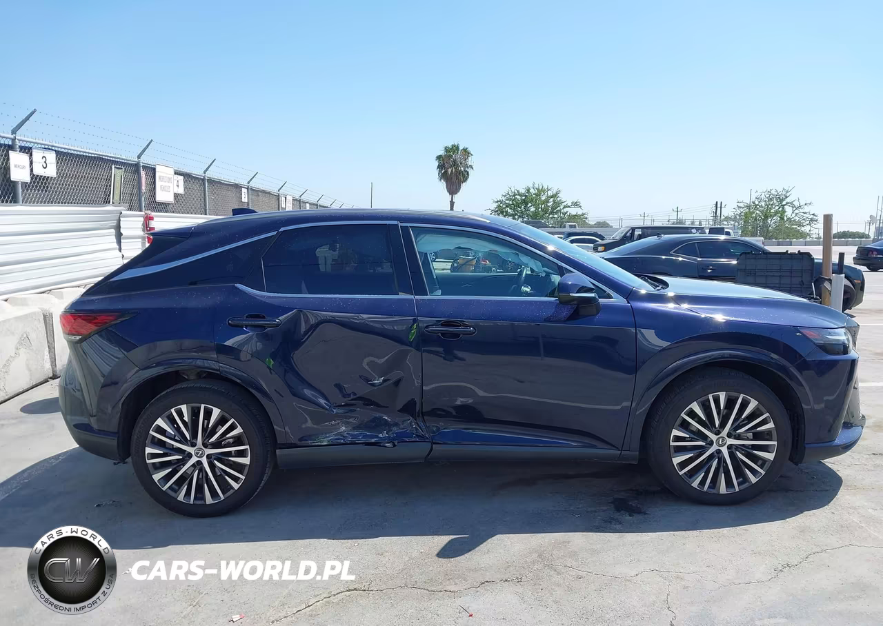 2024 Lexus Rx 350 Premium Plus VIN:JTJCHMAA9R2015289 - 13