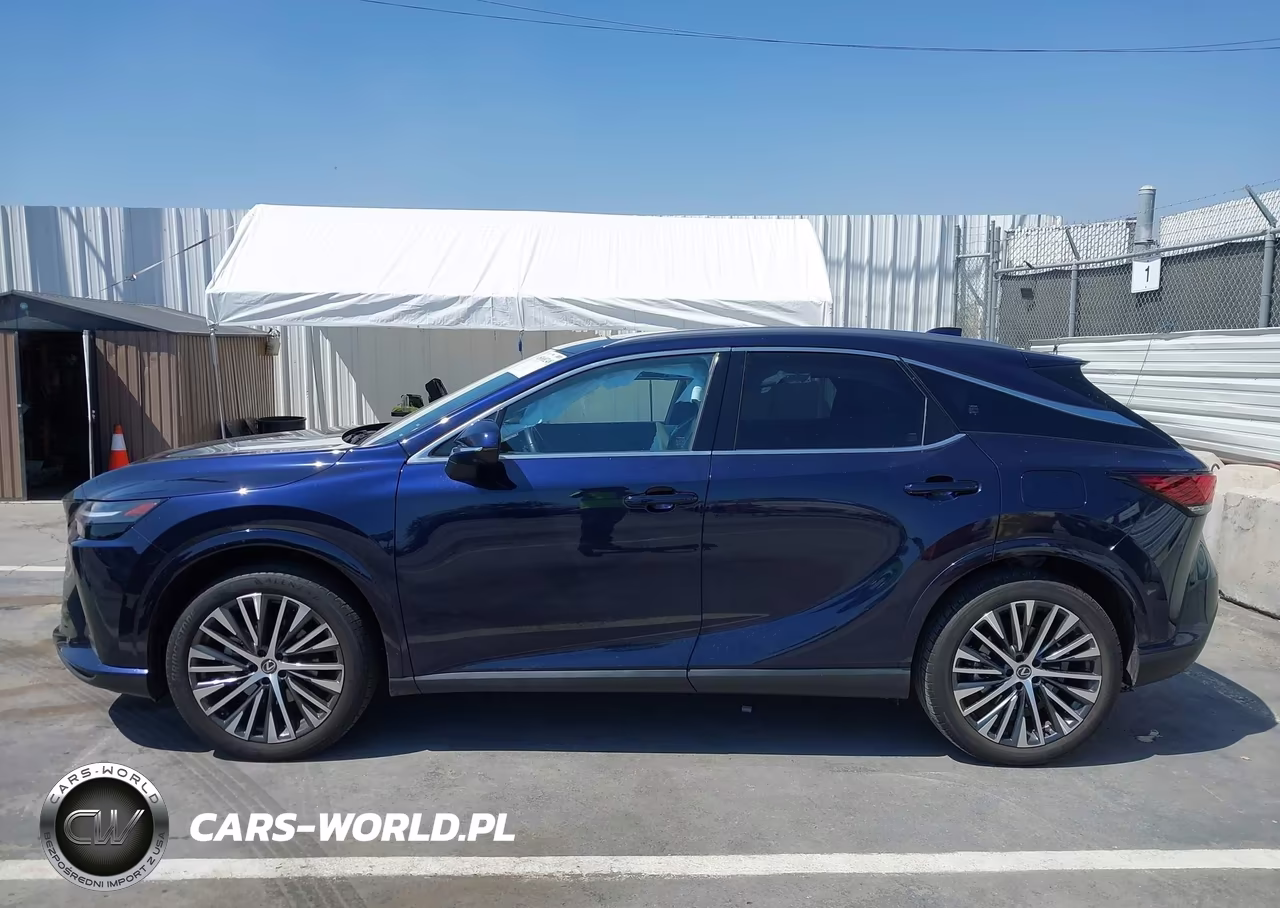 2024 Lexus Rx 350 Premium Plus VIN:JTJCHMAA9R2015289 - 14