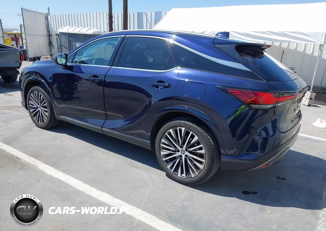 2024 Lexus Rx 350 Premium Plus VIN:JTJCHMAA9R2015289 - 3