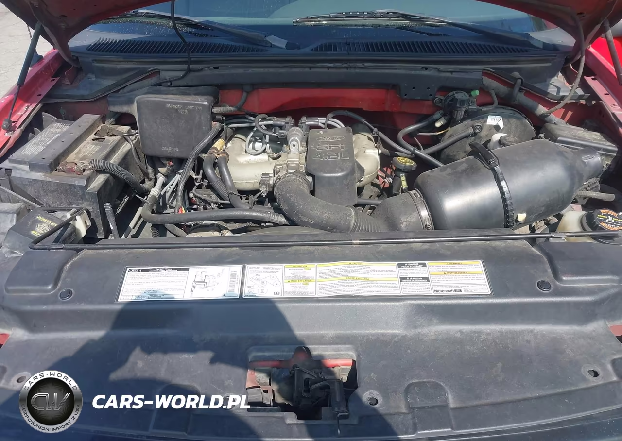 1998 Ford F-150 Standard-Xl-Xlt VIN:1FTZF1726WKB54082 - 10