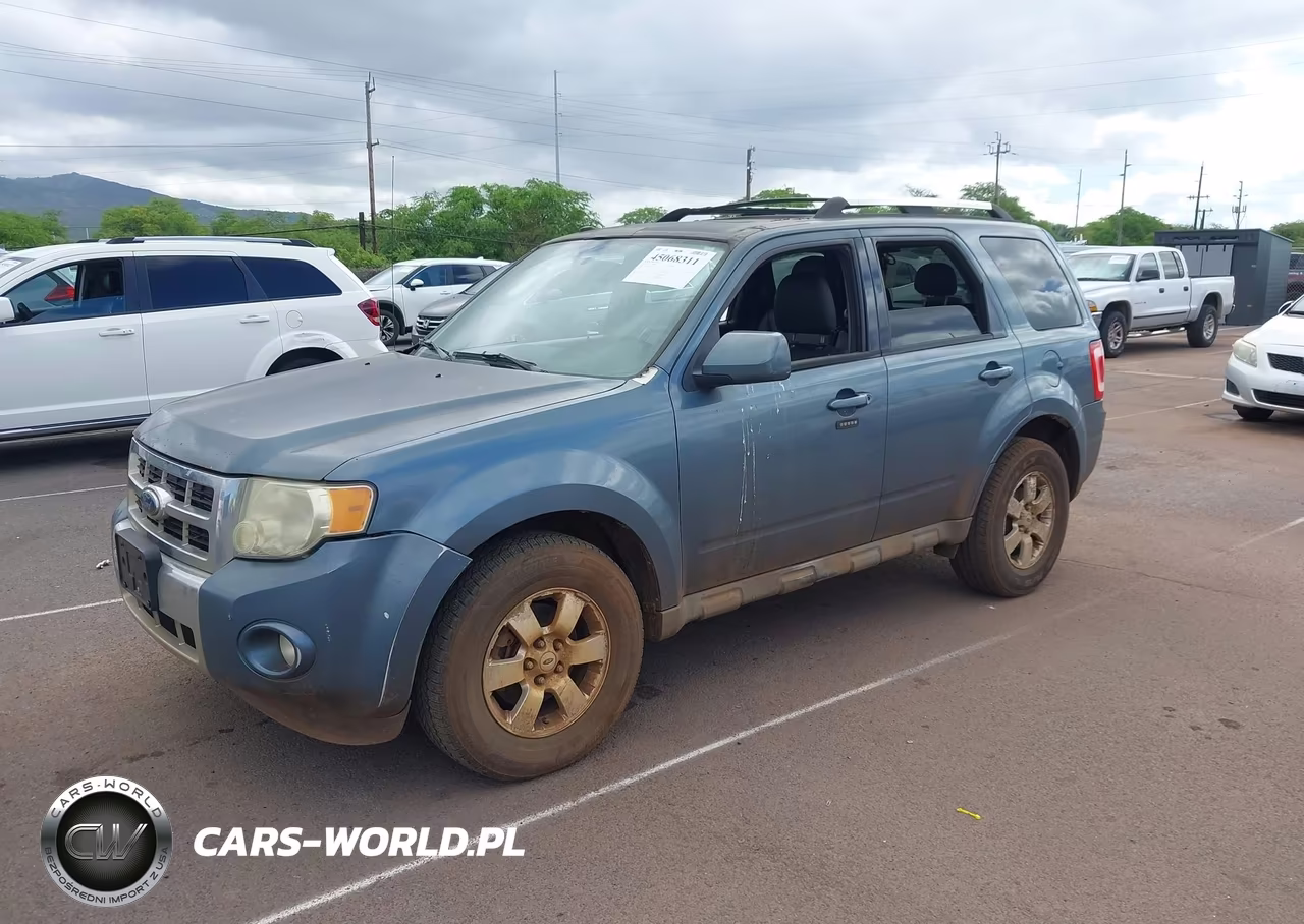 2010 Ford Escape Limited VIN:1FMCU0E70AKA43424 - 2