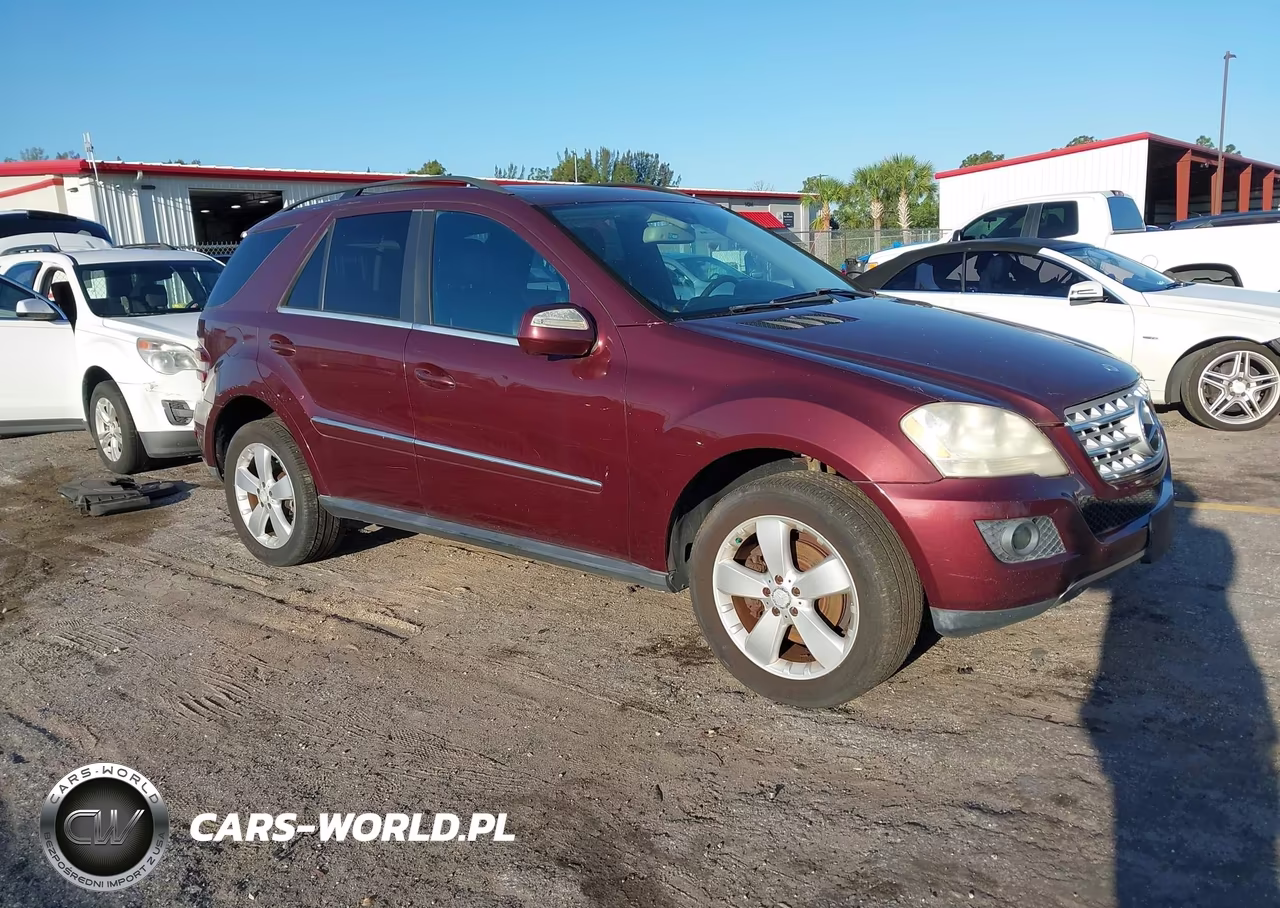 Główne zdjęcie 2010 Mercedes-Benz Ml 350 4Matic