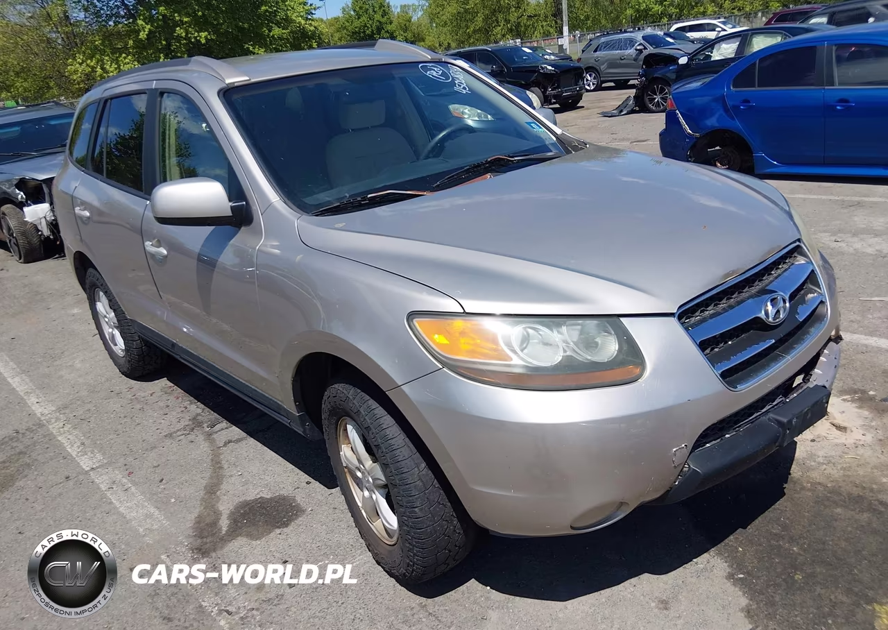 Główne zdjęcie 2007 Hyundai Santa Fe Gls