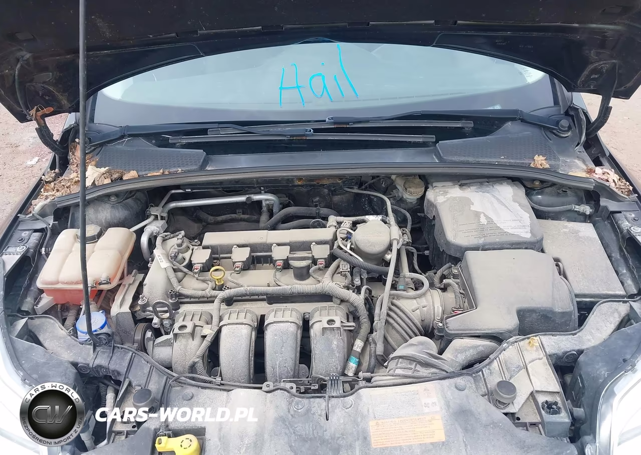 2014 Ford Focus Se VIN:1FADP3F29EL216853 - 10
