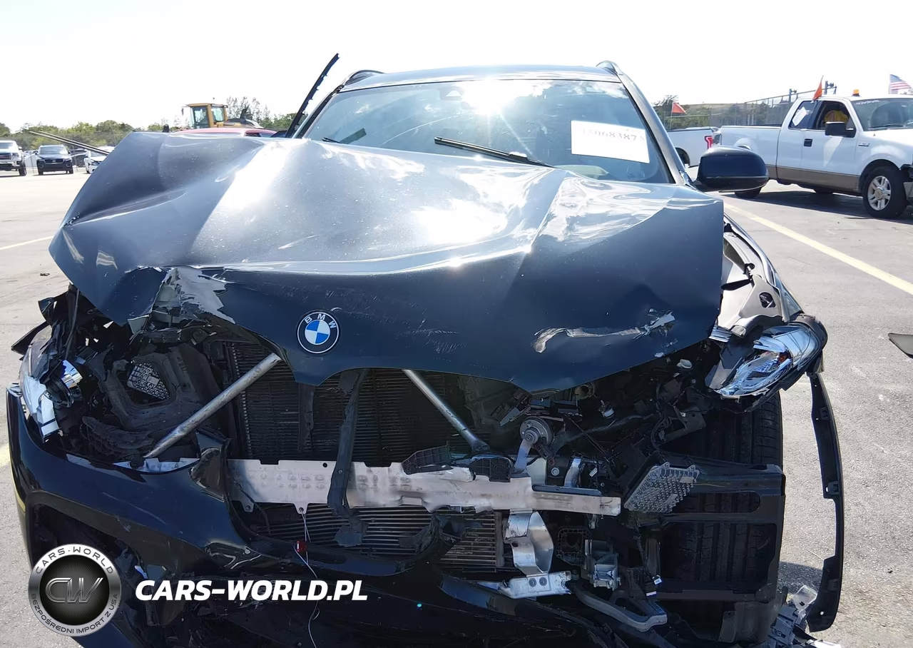 2021 BMW X3 Sdrive30I VIN:5UXTY3C03M9H46187 - 11