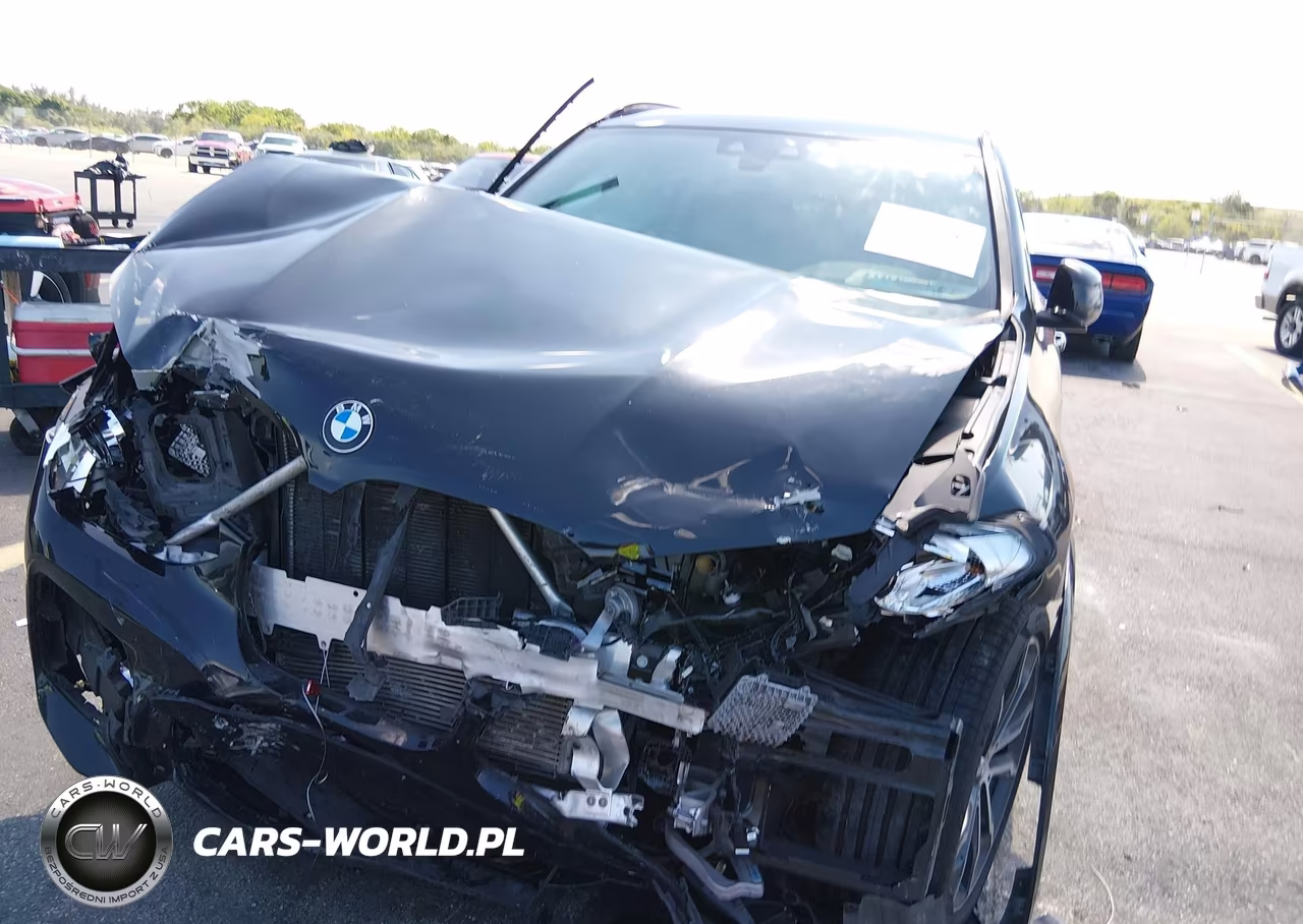 2021 BMW X3 Sdrive30I VIN:5UXTY3C03M9H46187 - 6