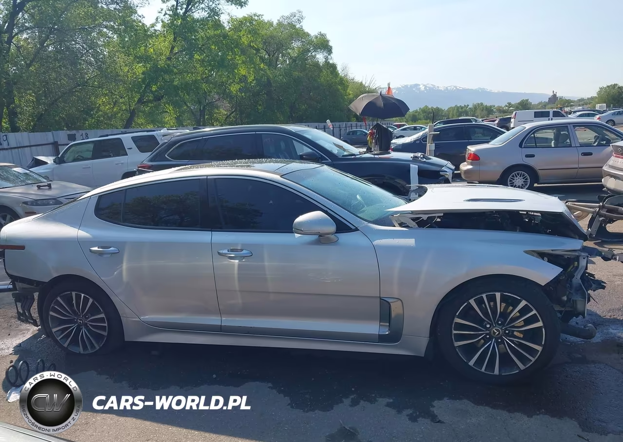 2018 Kia Stinger Premium VIN:KNAE25LA6J6017009 - 13