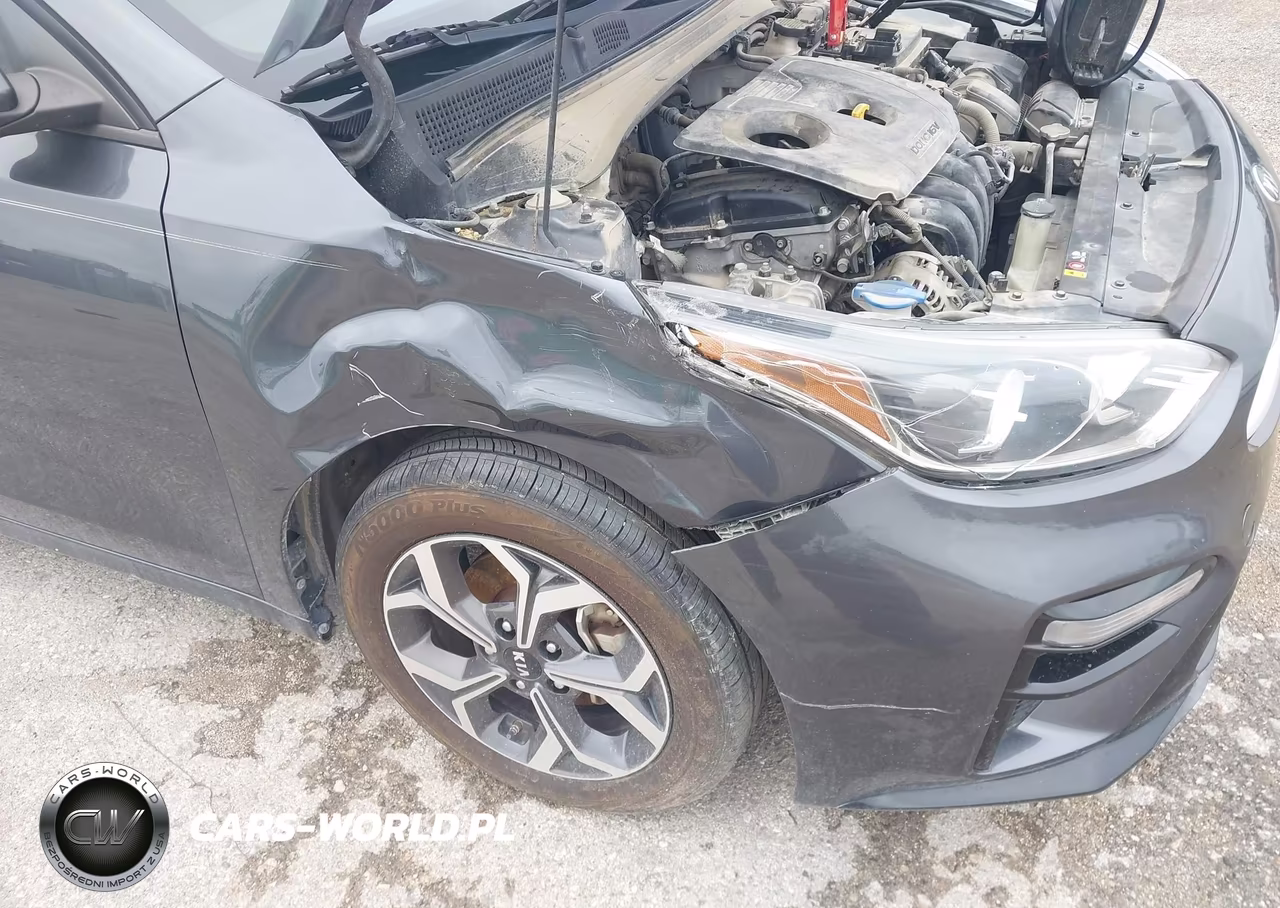 2019 Kia Forte Lxs VIN:3KPF24AD8KE059403 - 6
